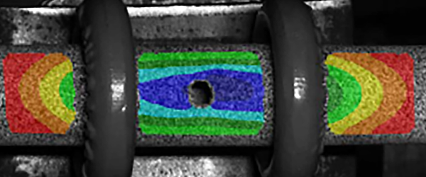Digital Image Correlation